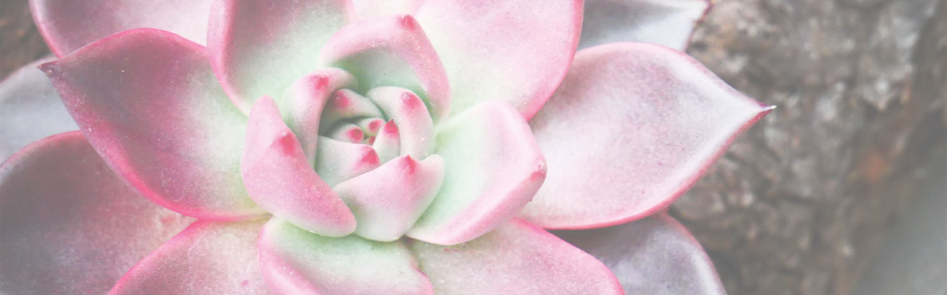 blog-bg-1